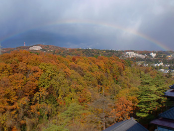 青葉山の紅葉もきれいになってきました。