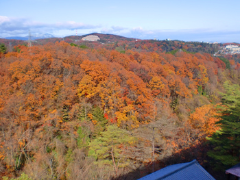 青葉山の紅葉